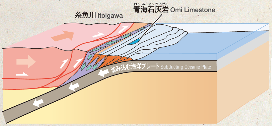 ヒスイ2.5億年前