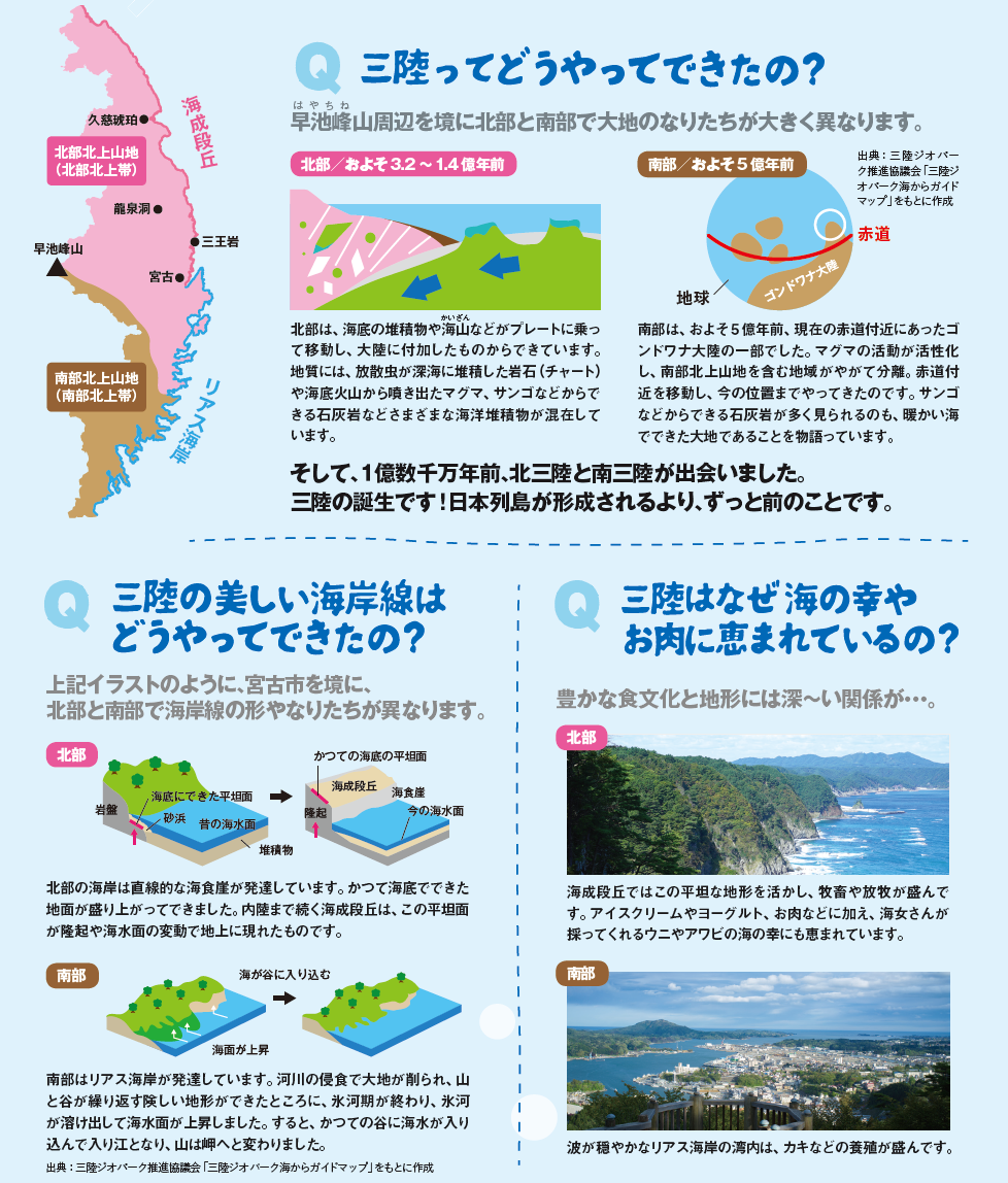 北部は、海底の堆積物や海かいざん山などがプレートに乗って移動し、大陸に付加したものからできています。 地質には、放散虫が深海に堆積した岩石（チャート） や海底火山から噴き出たマグマ、サンゴなどからで きる石灰岩などさまざまな海洋堆積物が混在して います。 南部は、およそ5億年前、現在の赤道付近にあったゴ ンドワナ大陸の一部でした。マグマの活動が活性化 し、南部北上山地を含む地域がやがて分離。赤道付 近を移動し、今の位置までやってきたのです。サンゴ などからできる石灰岩が多く見られるのも、暖かい海 でできた大地であることを物語っています。 赤道 地球 ゴンドワナ大陸 早はやちね池峰山周辺を境に北部と南部で大地のなりたちが大きく異なります。 そして、１億数千万年前、北三陸と南三陸が出会いました。 三陸の誕生です！日本列島が形成されです。、宮古市を境に、 北部と南部で海岸線の形やなりたちが異なります。北部の海岸は直線的な海食崖が発達しています。かつて海底でできた 地面が盛り上がってできました。内陸まで続く海成段丘は、この平坦面 が隆起や海水面の変動で地上に現れたものです。 海成段丘ではこの平坦な地形を活かし、牧畜や放牧が盛んで す。アイスクリームやヨーグルト、お肉などに加え、海女さんが 採ってくれるウニやアワビの海の幸にも恵まれています。 波が穏やかなリアス海岸の湾内は、カキなどの養殖が盛んです。 南部はリアス海岸が発達しています。河川の侵食で大地が削られ、山 と谷が繰り返す険しい地形ができたところに、氷河期が終わり、氷河 が溶け出して海水面が上昇しました。すると、かつての谷に海水が入り 込んで入り江となり、山は岬へと変わりました。